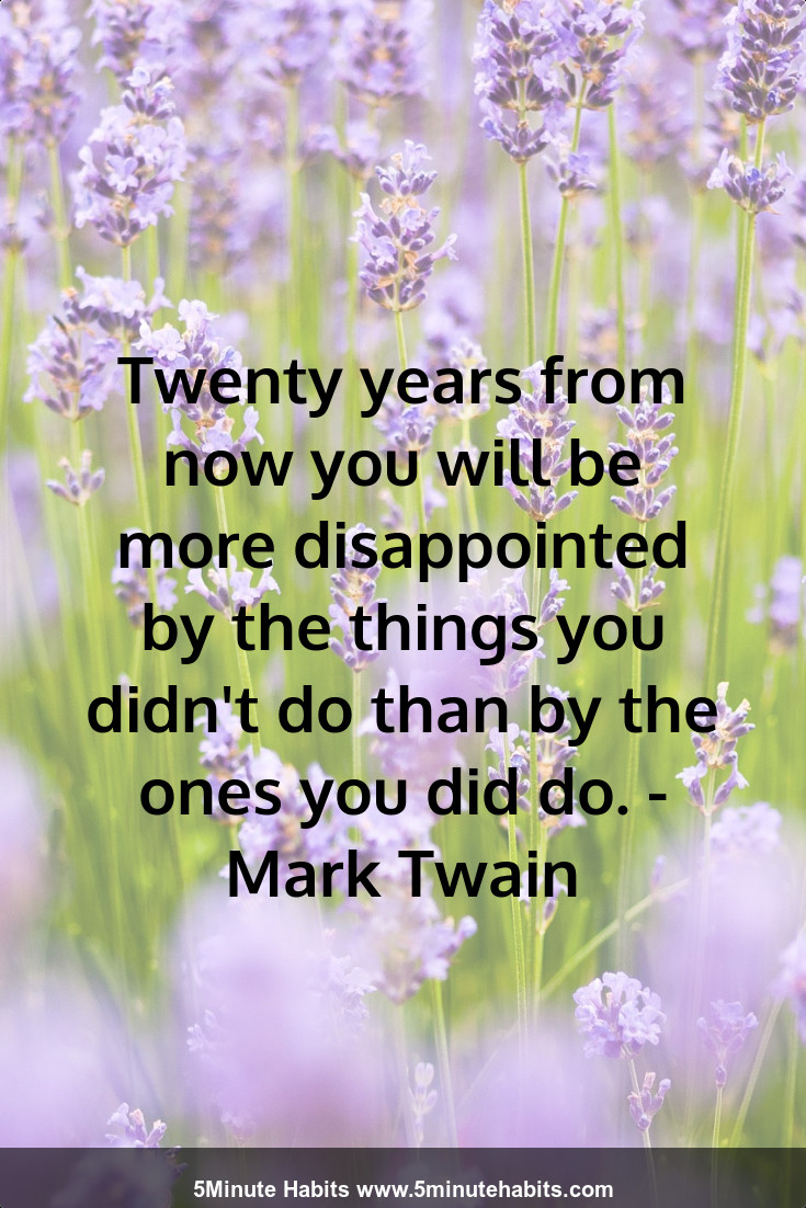 Twenty years from now you will be more disappointed by the things you didn't do than by the ones you did do. - Mark Twain